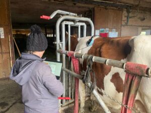 Test-biorésonance_animale